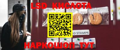 прущие грибы Мариинск