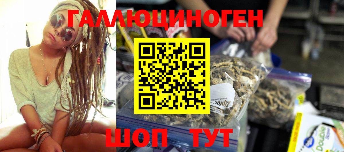 Галлюциногенные грибы Psilocybine cubensis  купить   Выкса  Псилоцибиновые грибы GOLDEN TEACHER  Вход с VPN 